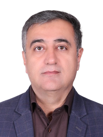 Prof. Dr. Ata Amini